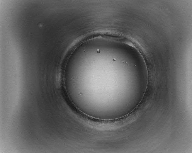 X0000112070016200908041243