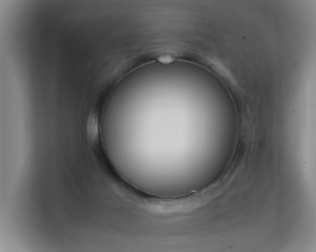 X0000112070021200908041243