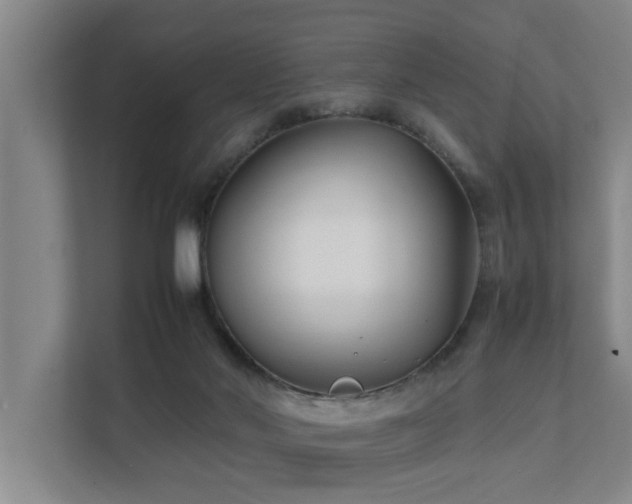 X0000112070022200908041243