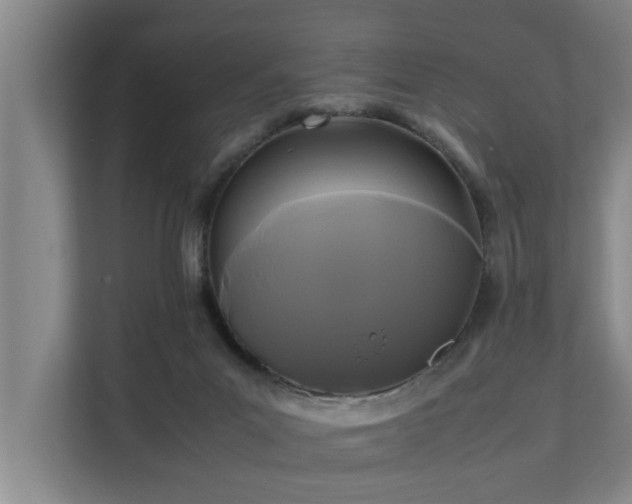 X0000112070023200908041243