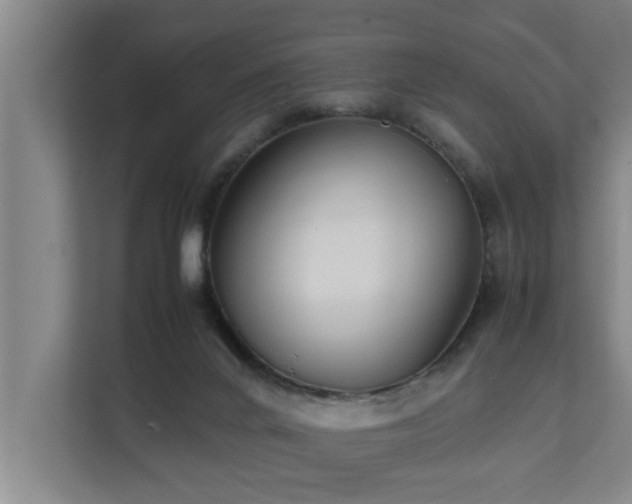 X0000112070024200908041243