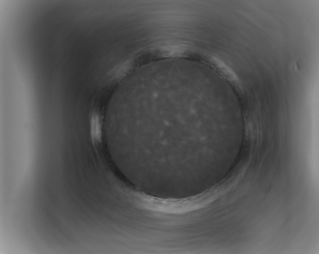 X0000112070026200908041243