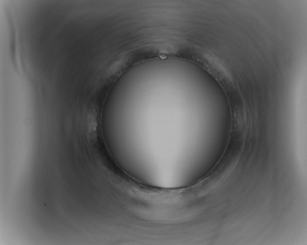 X0000112070032200908041243