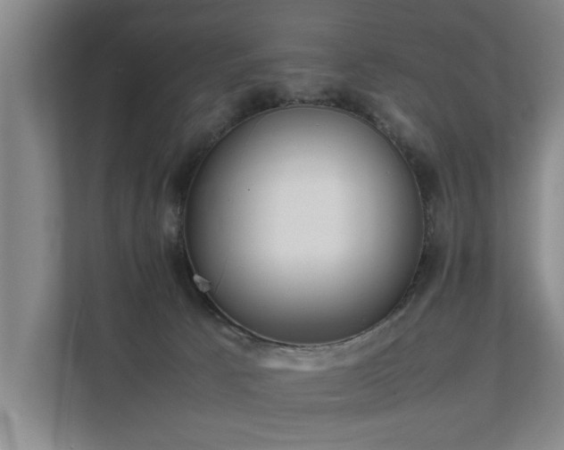 X0000112070033200908041243