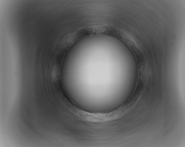 X0000112070034200908041243