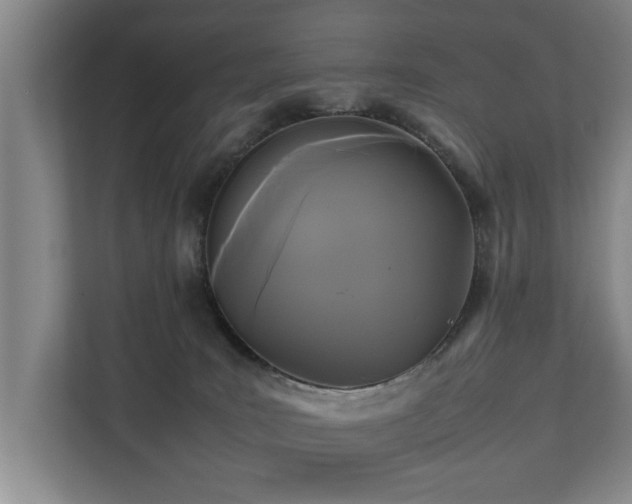 X0000112070035200908041243