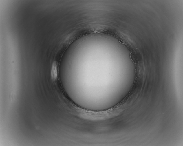 X0000112070042200908041243