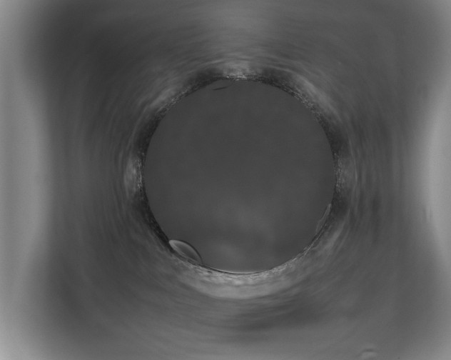 X0000112070043200908041243