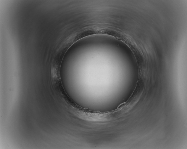 X0000112070044200908041243