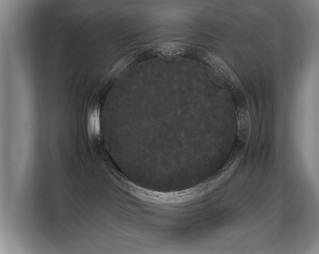 X0000112070046200908041243