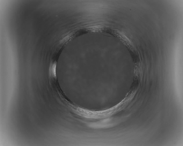 X0000112070047200908041242