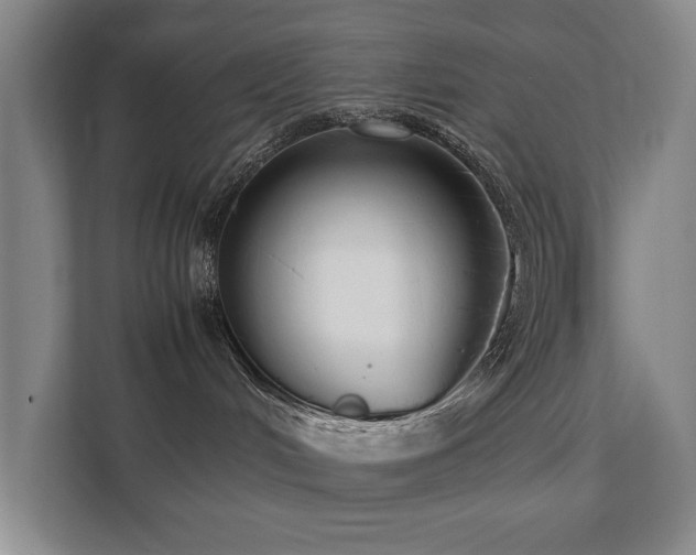 X0000112070048200908041242