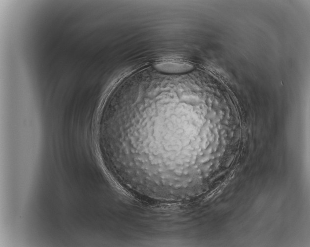 X0000112070049200908041242