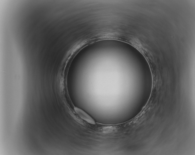 X0000112070050200908041242