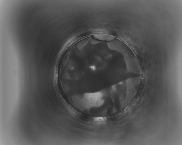 X0000112070053200908041242