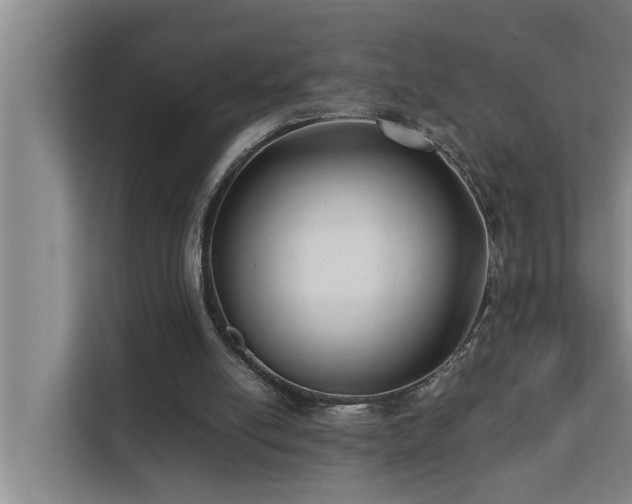 X0000112070054200908041242