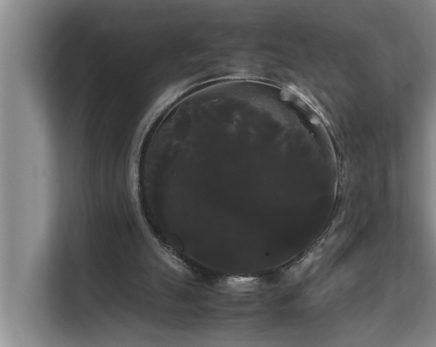 X0000112070055200908041242