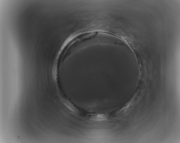 X0000112070056200908041242