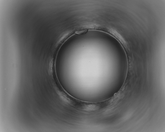 X0000112070058200908041242