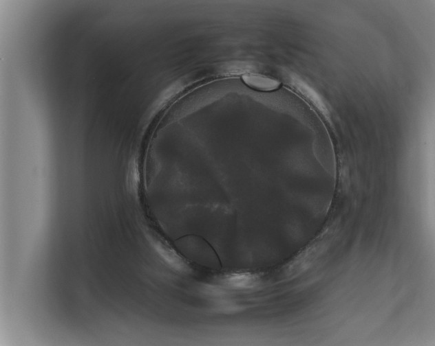 X0000112070059200908041242