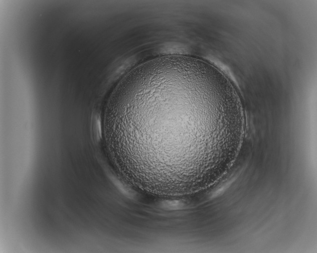 X0000112070061200908041242