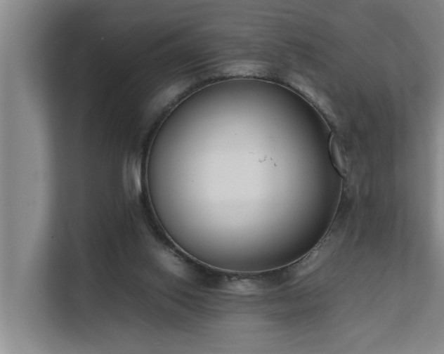 X0000112070062200908041242