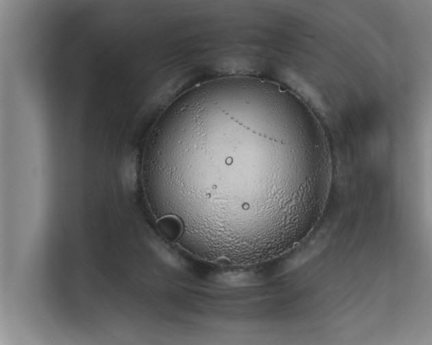 X0000112070065200908041242