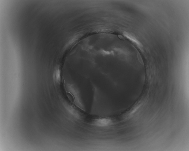 X0000112070067200908041242