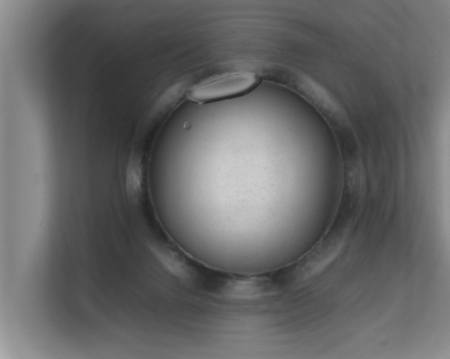 X0000112070072200908041242