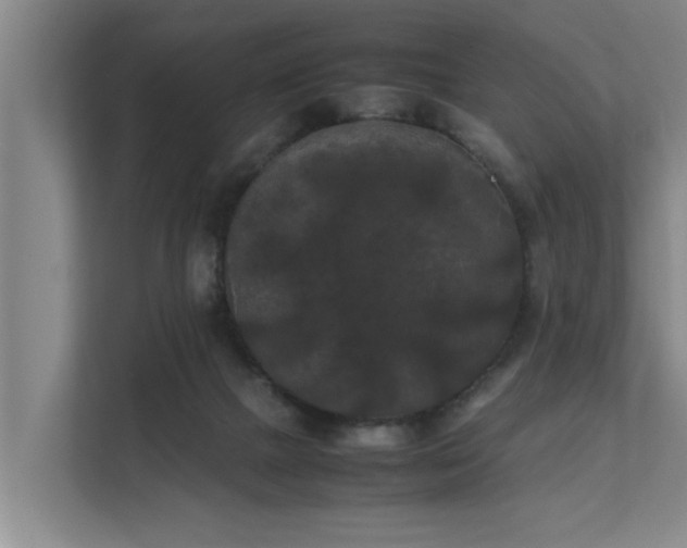 X0000112070073200908041242