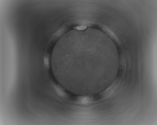 X0000112070074200908041242