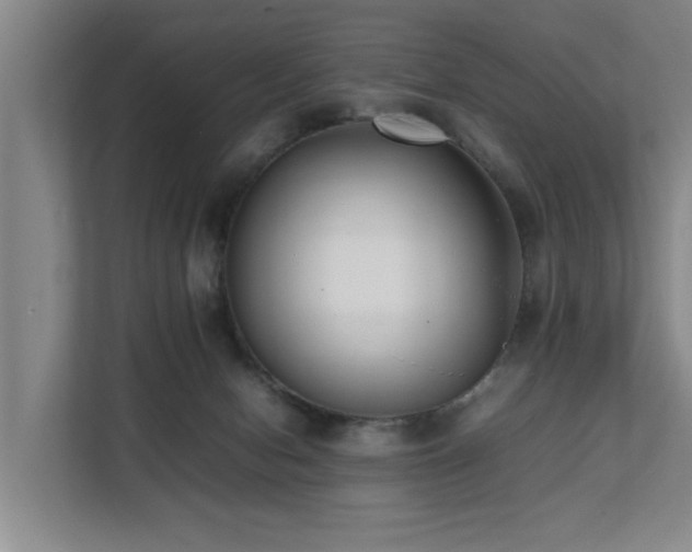 X0000112070078200908041242