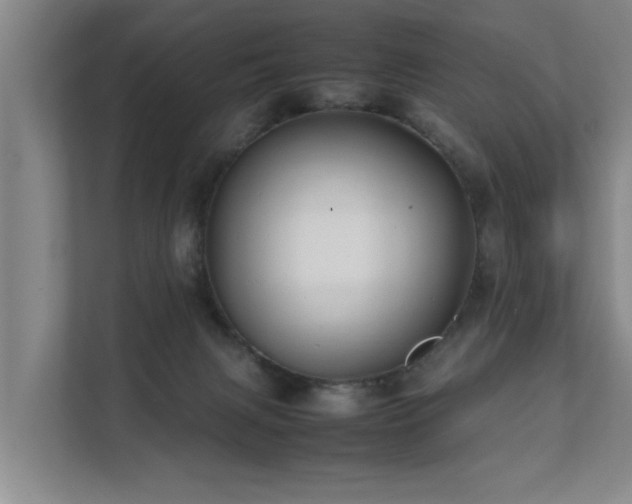 X0000112070079200908041242