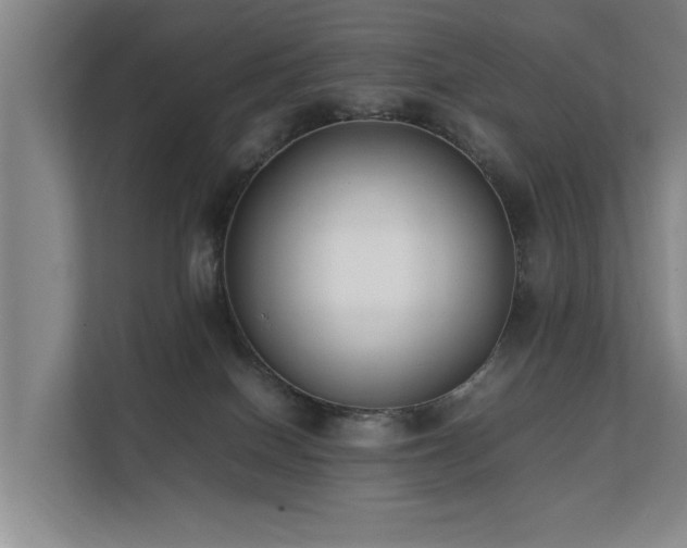 X0000112070086200908041242