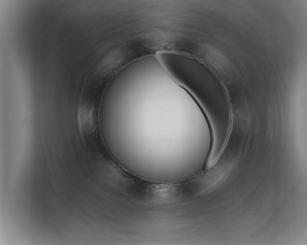 X0000112070088200908041242