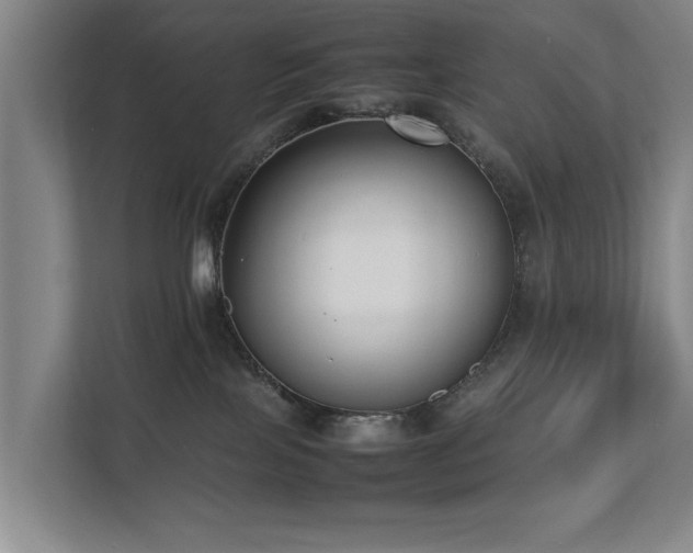 X0000112070089200908041242