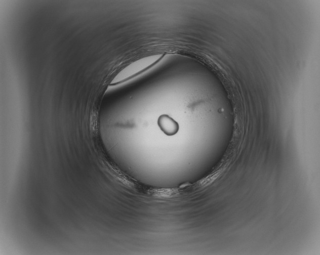 X0000112070096200908041242