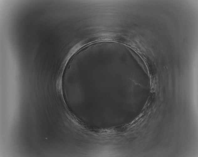 X0000112070099200908041242