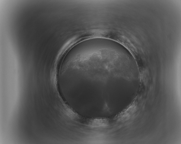 X0000112070101200908041242