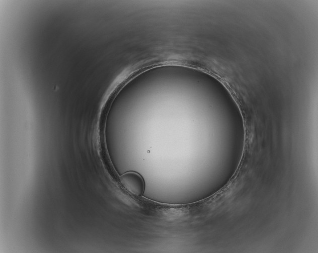 X0000112070102200908041242