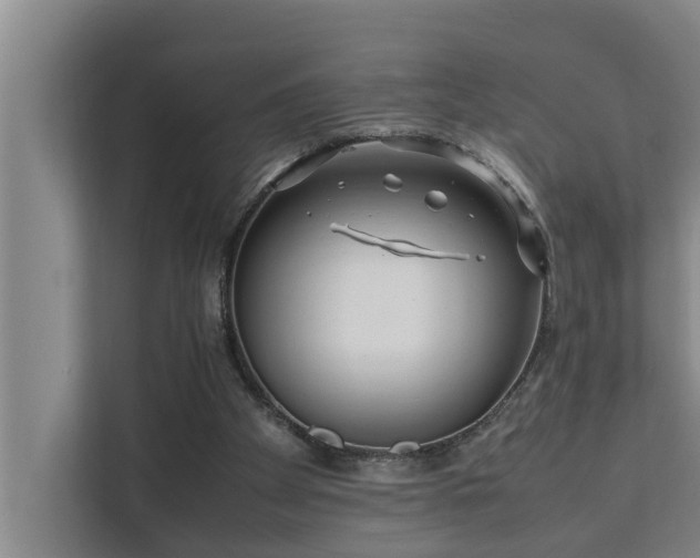 X0000112070105200908041242