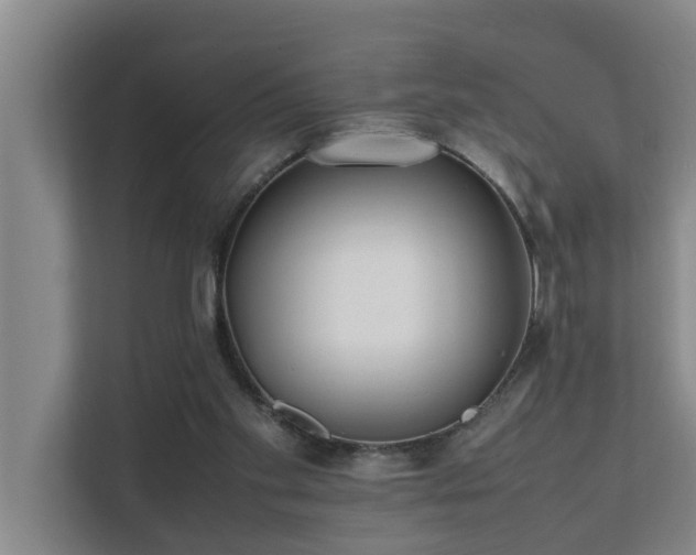 X0000112070109200908041242