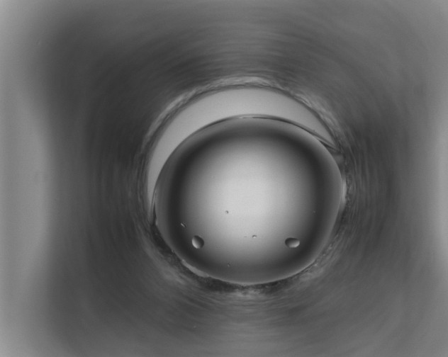 X0000112070112200908041242