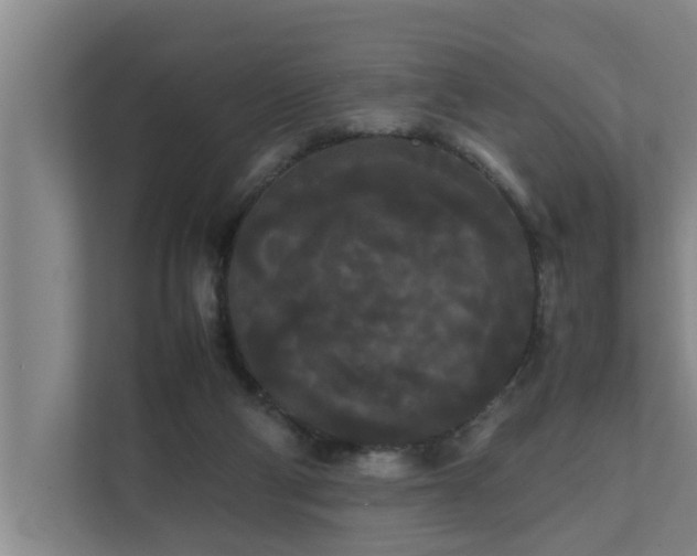 X0000112070114200908041242