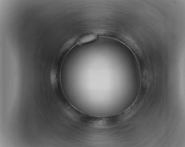 X0000112070116200908041242