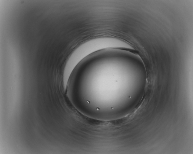 X0000112070124200908041241