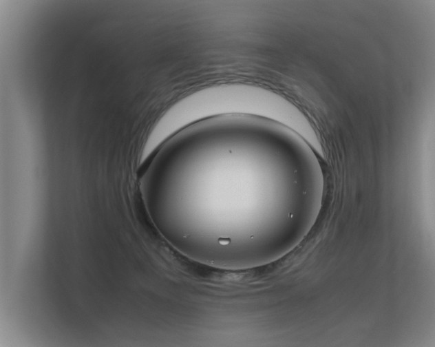 X0000112070129200908041241