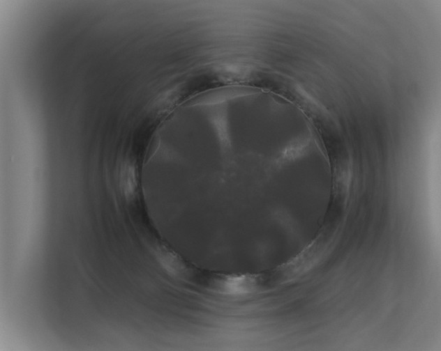 X0000112070130200908041241