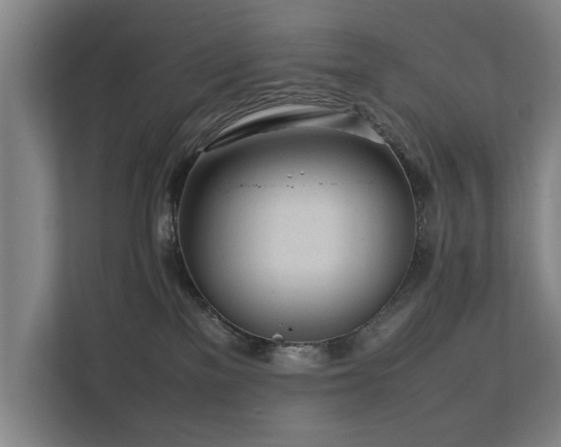 X0000112070137200908041241