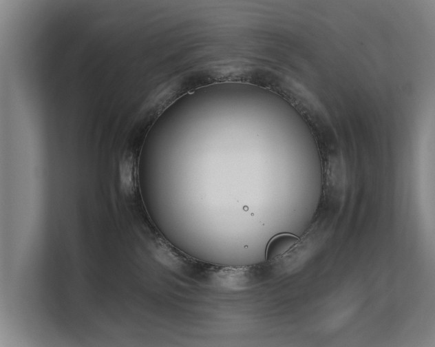 X0000112070138200908041241